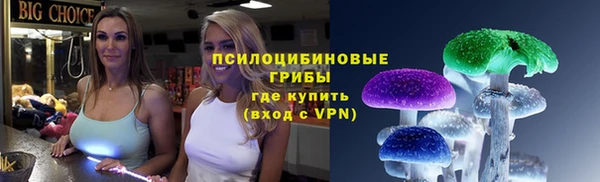 стаф Киреевск