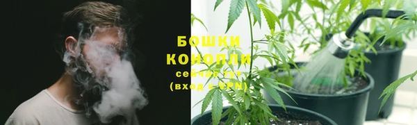 дживик Киренск