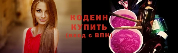 дживик Киренск