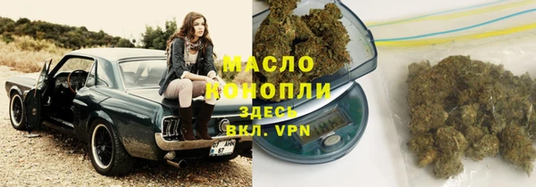 молекула духа Козловка
