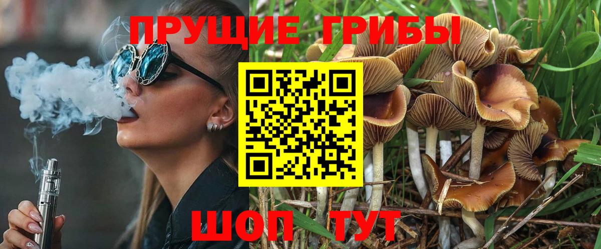 Армавир  Псилоцибиновые грибы MAGIC MUSHROOMS  Вход с VPN 